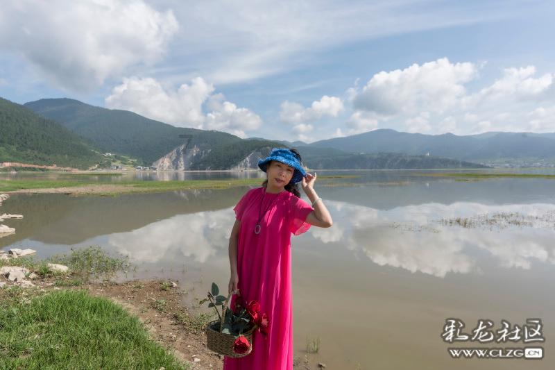 英伟达不再是“芯片第一股”?大摩的TOP1变成了西部数据